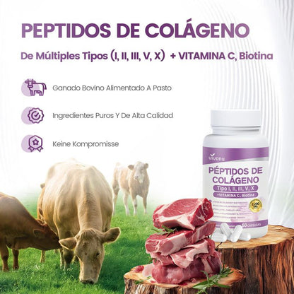 Péptidos de Colágeno