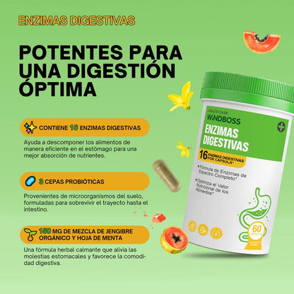 Equilibrio Digestivo 2 en 1: Enzimas + Probióticos