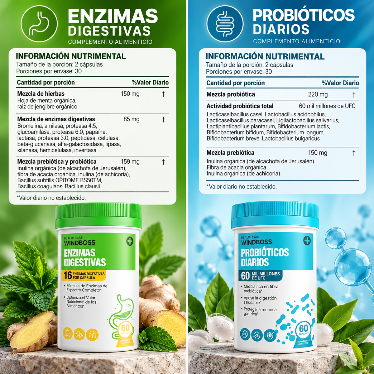 Equilibrio Digestivo 2 en 1: Enzimas + Probióticos